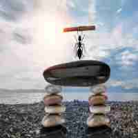 语‌音﻿识‍别‌中​的​语​言‌模‌型​